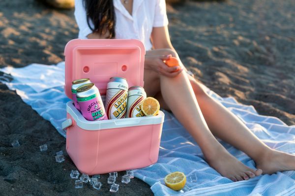 Top rafraîchisseurs pour servir vos boissons fraîches rapidement