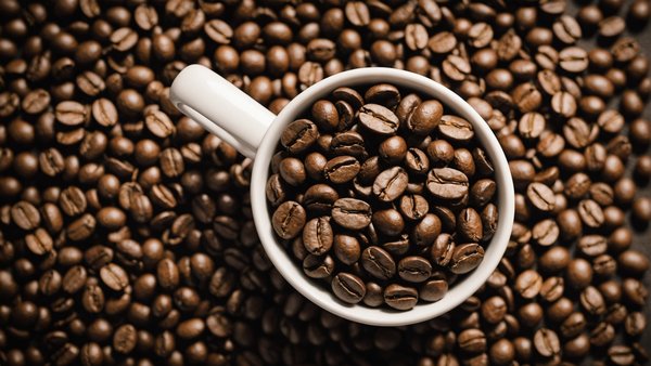 Découvrir le meilleur café en grain sur maxicoffee